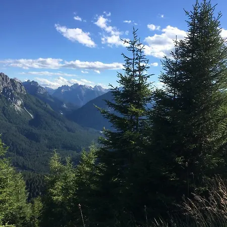 Stella Alpina *